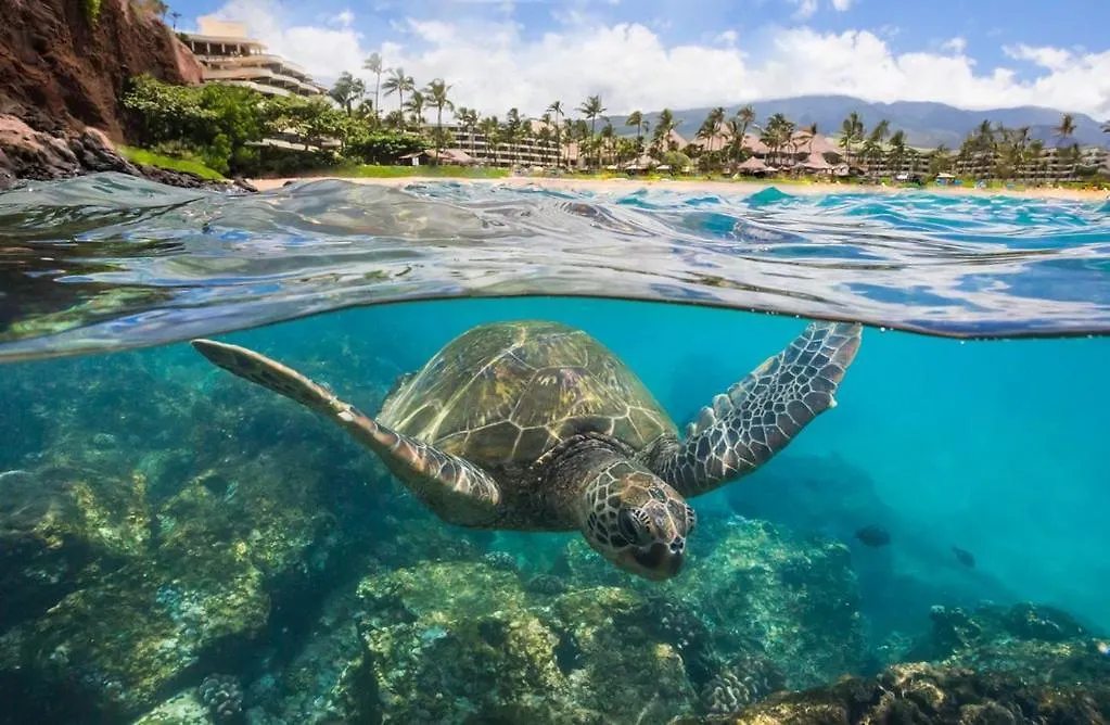 Noahs Hideaway Luxury B&B Lahaina