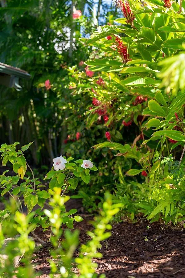 Noahs Hideaway Luxury B&B Lahaina 0*,  United States